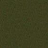 AROZ01 - Olive Drab (Modern Australian) DISCONTINUED