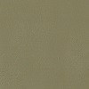 ACGW05 - Beige (French/USAAC) DISCONTINUED