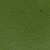 ACJ18 - IJN Interior Olive Green