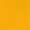 ACLW21 - Gelb