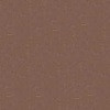 ACUS18 - Tan (FS20219) Vietnam