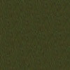 AROZ01 - Olive Drab (Modern Australian) DISCONTINUED