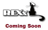 RX32021 Junkers J.1 exhausts