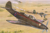 1/32 P39N/Q Soviet Guards Regiments Fighter